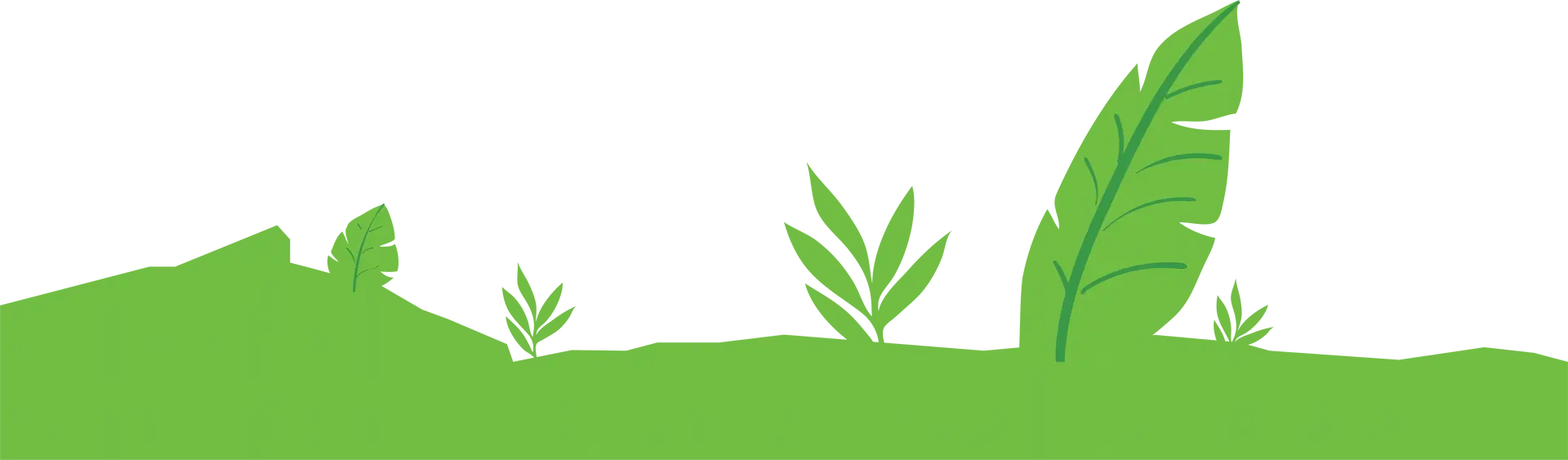 Fondo Naturaleza